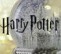 Video 1 for Harry Potter™ Damask Water Bottle, Maroon