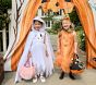Happy Halloween Outdoor Canvas Pumpkin Arch
