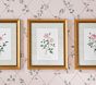 Bria Hammel Roses Wall Art (12"x 15")