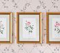 Bria Hammel Roses Wall Art (12"x 15")