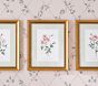 Bria Hammel Roses Wall Art (12"x 15")