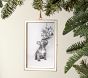 Oversized Enamel Frame Ornaments
