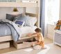 Quinn Lidded Underbed Storage