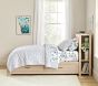 Camp Storage Bed