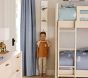 Dinosaur Growth Chart
