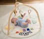 Interactive Activity Gym