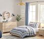 Palmer 6-Drawer Dresser (59w x 20d")