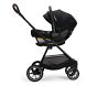 Nuna TRIV<sup>&trade;</sup> Next Stroller