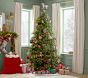 Get the Look - Classic Christmas Tree (7.5')