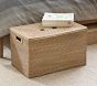 Quinn Lidded Storage Trunk