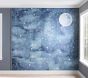 Night Sky Mural
