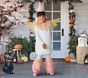 Rainbow Pegasus Halloween Costume