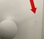 Open Box: Scalloped Peg Rack (36") - White