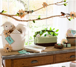 Baby Shower Ideas Pottery Barn Kids