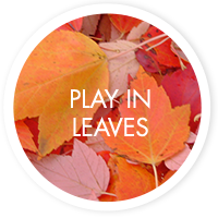 Play in leaves