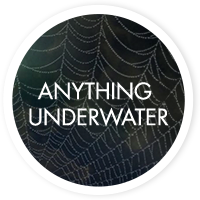 Anything underwater