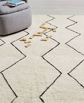 Shop the rug