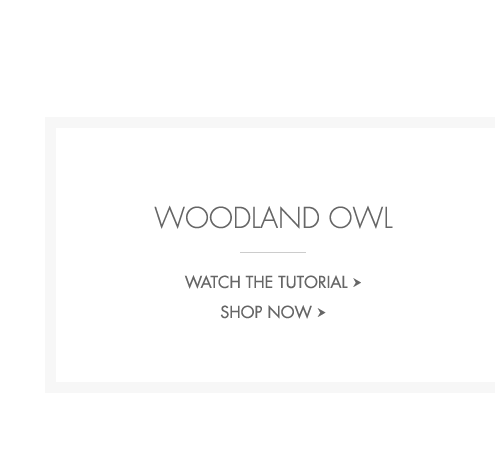 Woodland Owl