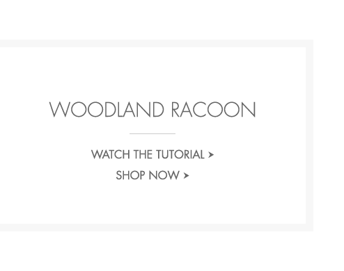 Woodland Raccoon