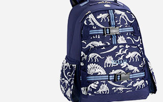 Quality Guides: Backpacks