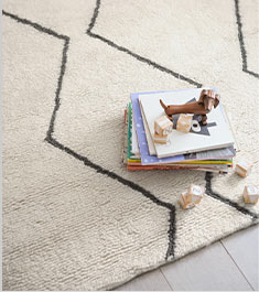 Shop the Rug