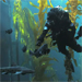 Monterey Bay Aquarium® - Sharks