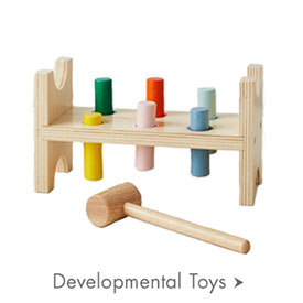 Developmental Toys