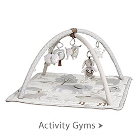 Activity Gyms