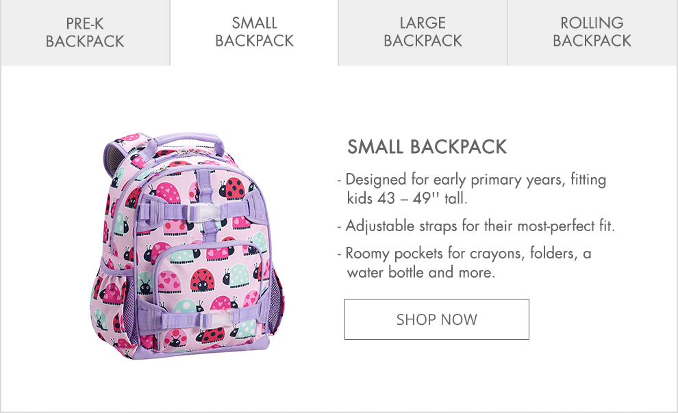 Small Backpack