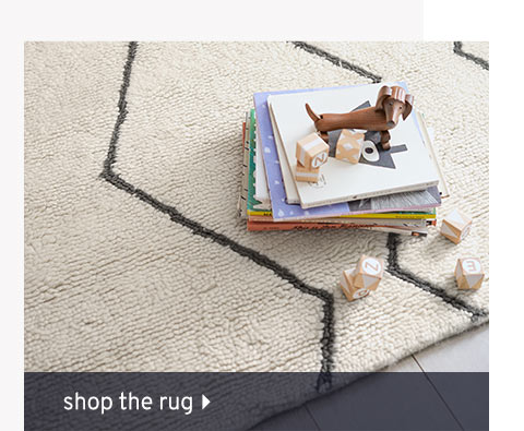 Shop the Rug