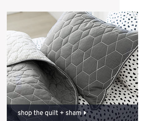 Shop the Quilt + Sham