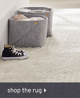 Shop the rug
