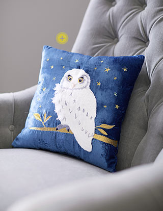 Harry Potter for Pottery Barn Kids