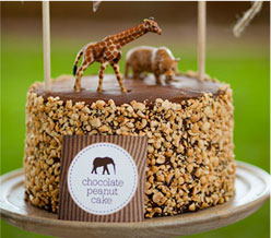 Young Explorers Birthday Party