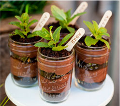 Time to Grow Birthday Party