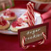 Candy Cane Card Holder