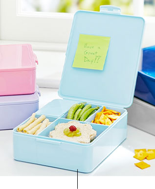 Bento Box