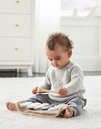 Developmental Toys