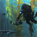 Monterey Bay Aquarium&reg; - Sharks
