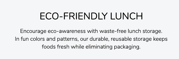 Eco-Friendly Lunch