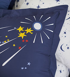 Astro Nomad Bedroom