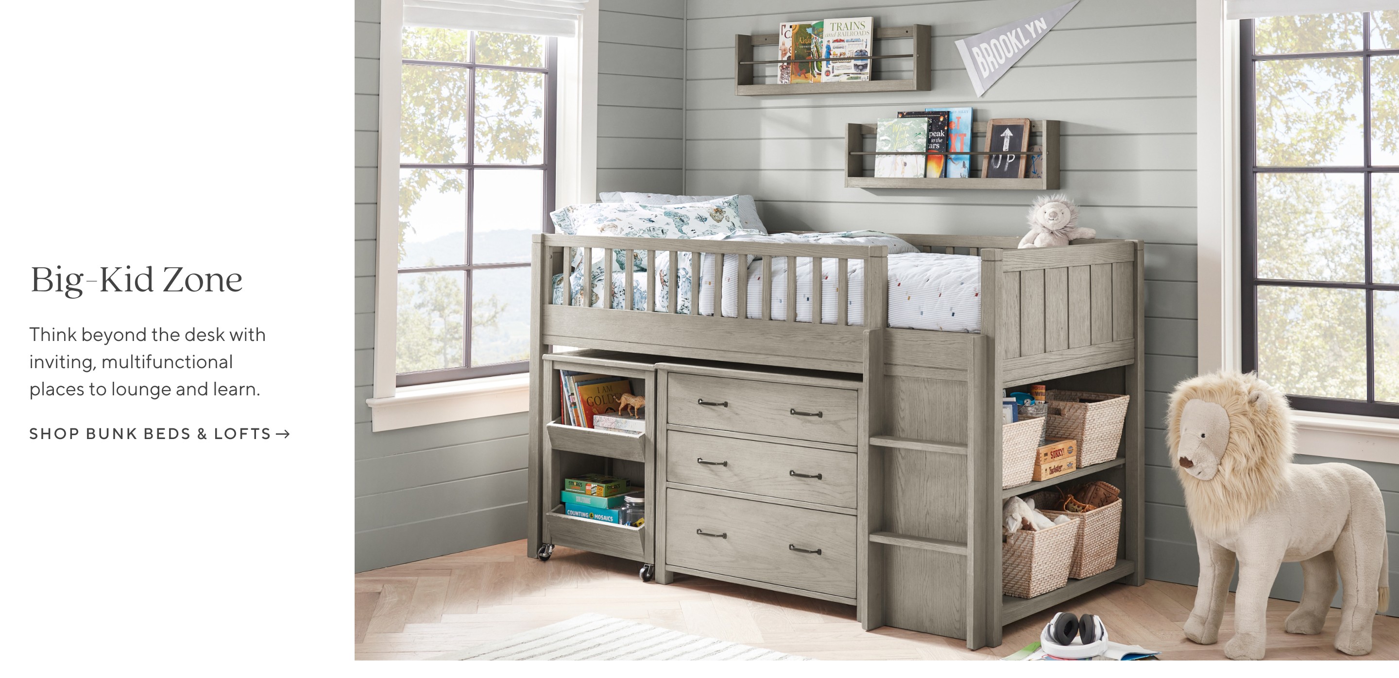 Shop Bunk Beds & Lofts