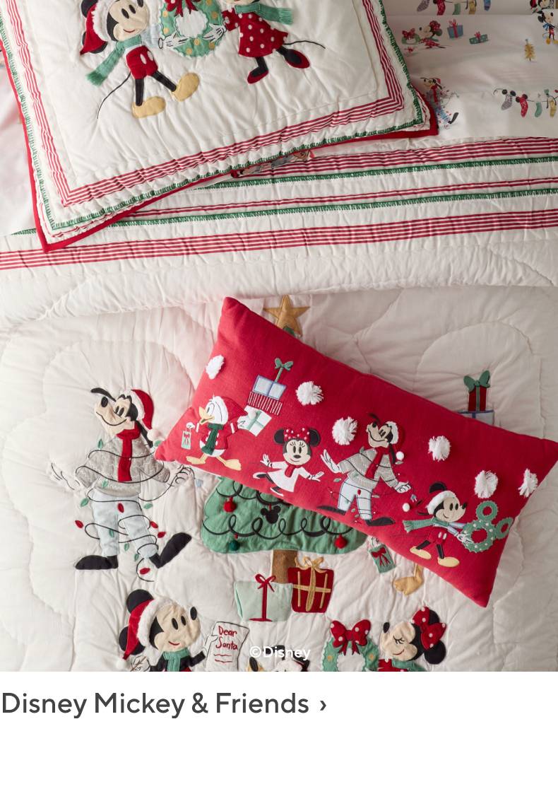 Disney Mickey & Friends