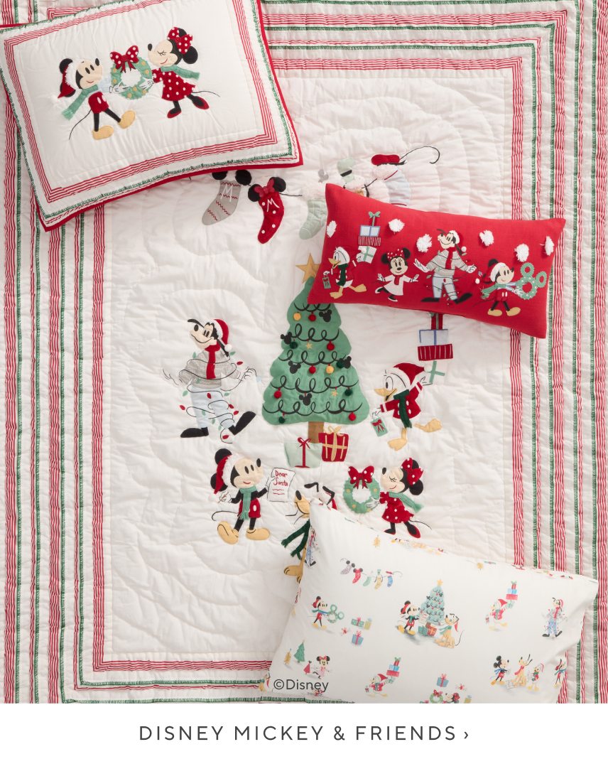 Disney Mickey & Friends