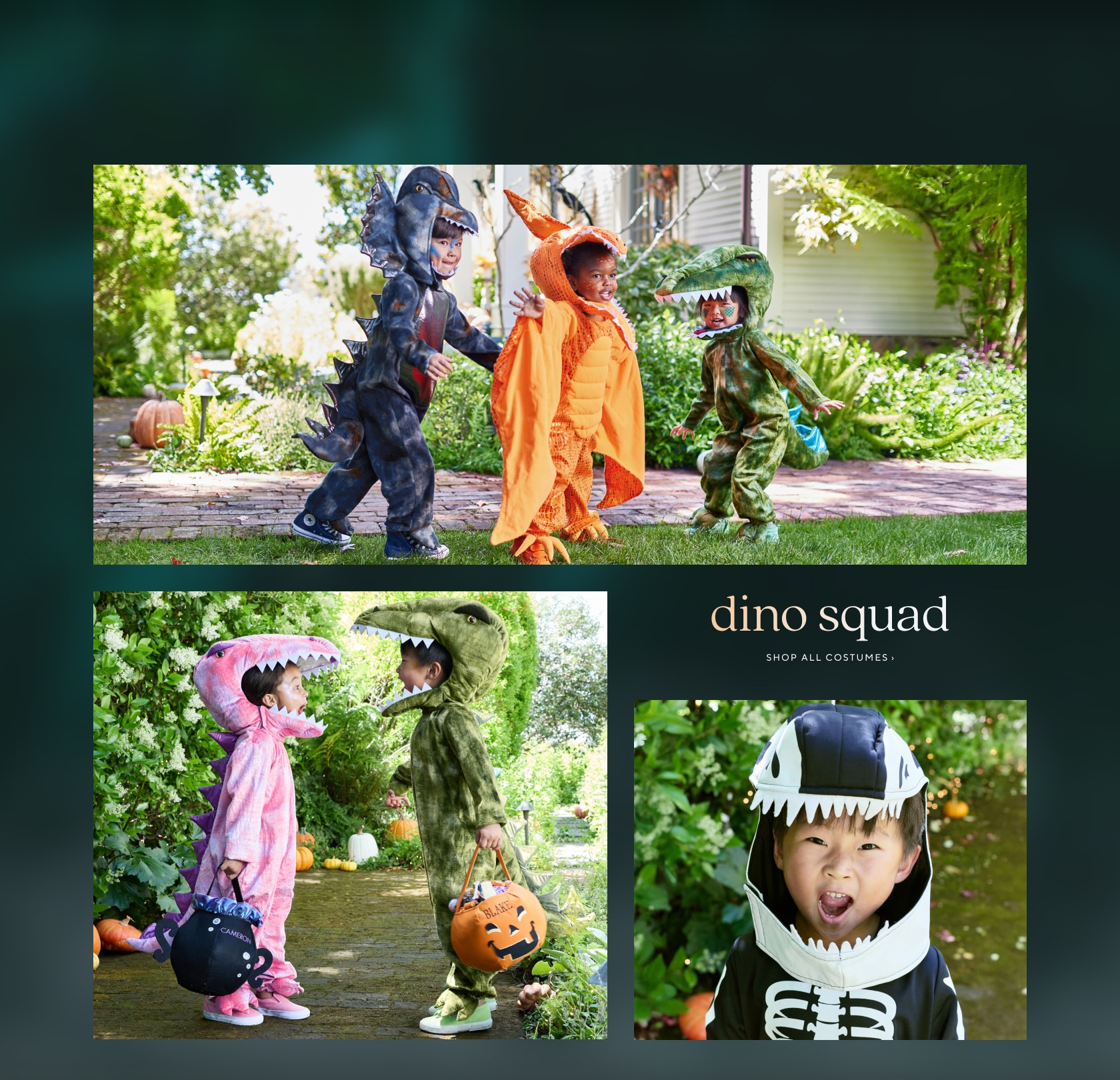 dino squad - shop all costumes
