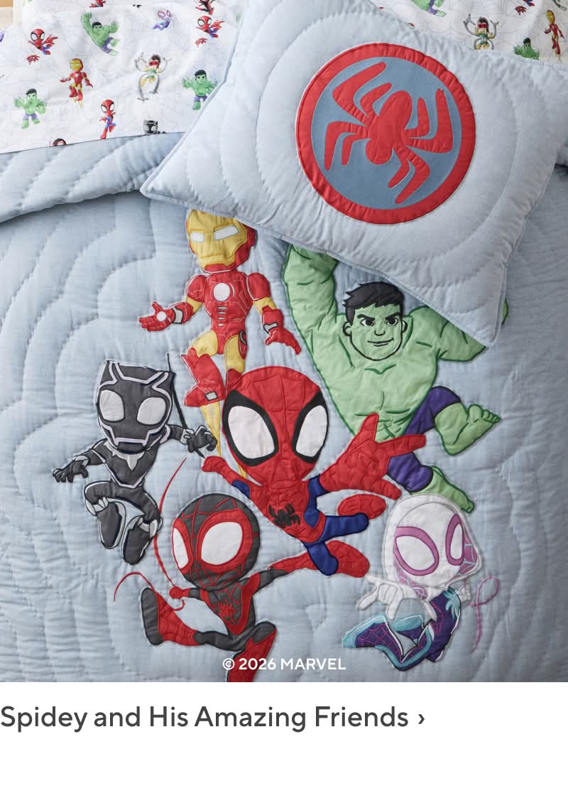Spidey and His Amazing Friends