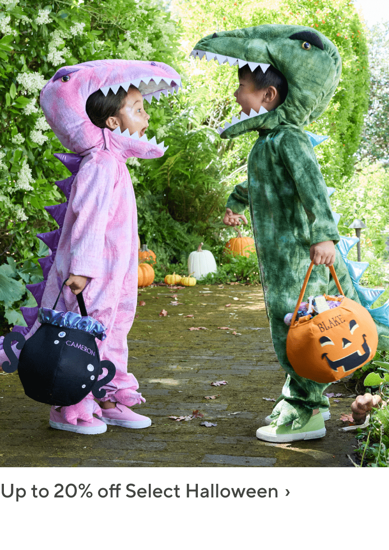 Up to 20% off Select Halloween