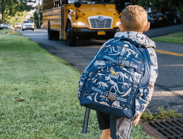 Young child wearing dinosaur print backpack while waiting for school bus.