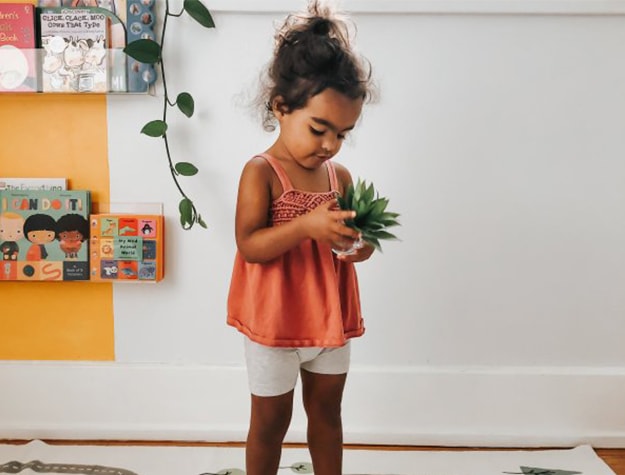 Child holding artificial succulent plant