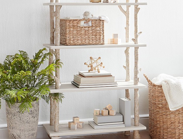 Tree trunk styled frame Birch Bookcase.